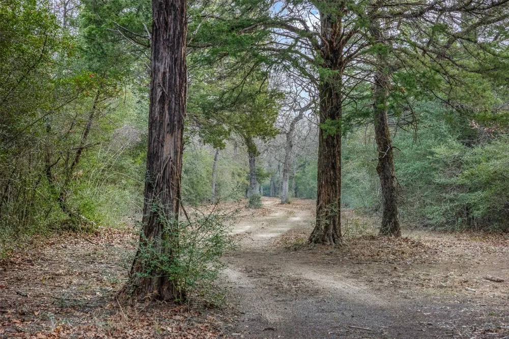 15147 County Road 499 Normangee, TX 77871