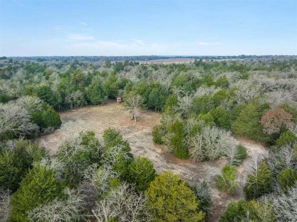 15147 County Road 499 Normangee, TX 77871