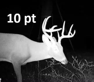 15147 County Road 499 Normangee, TX 77871