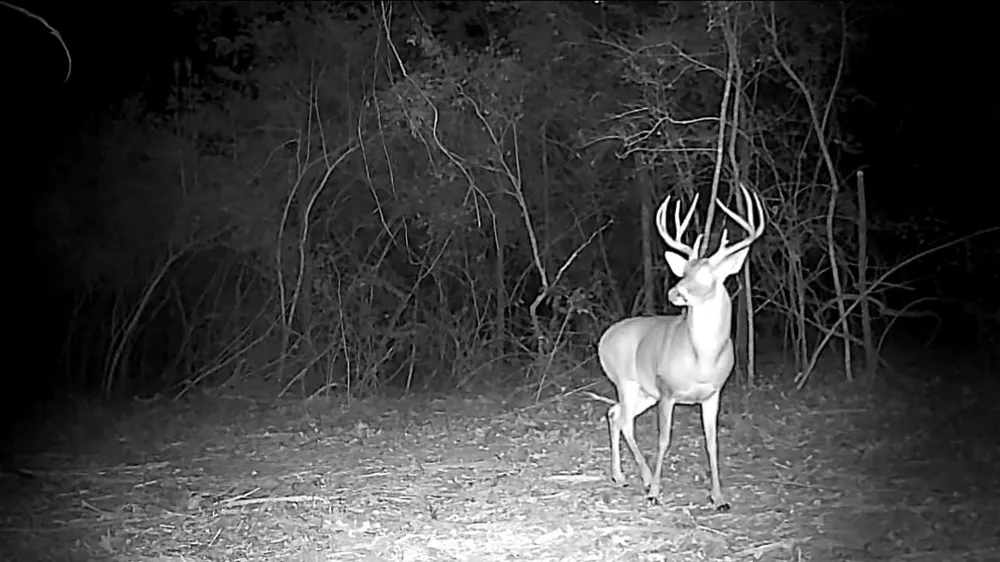 15147 County Road 499 Normangee, TX 77871