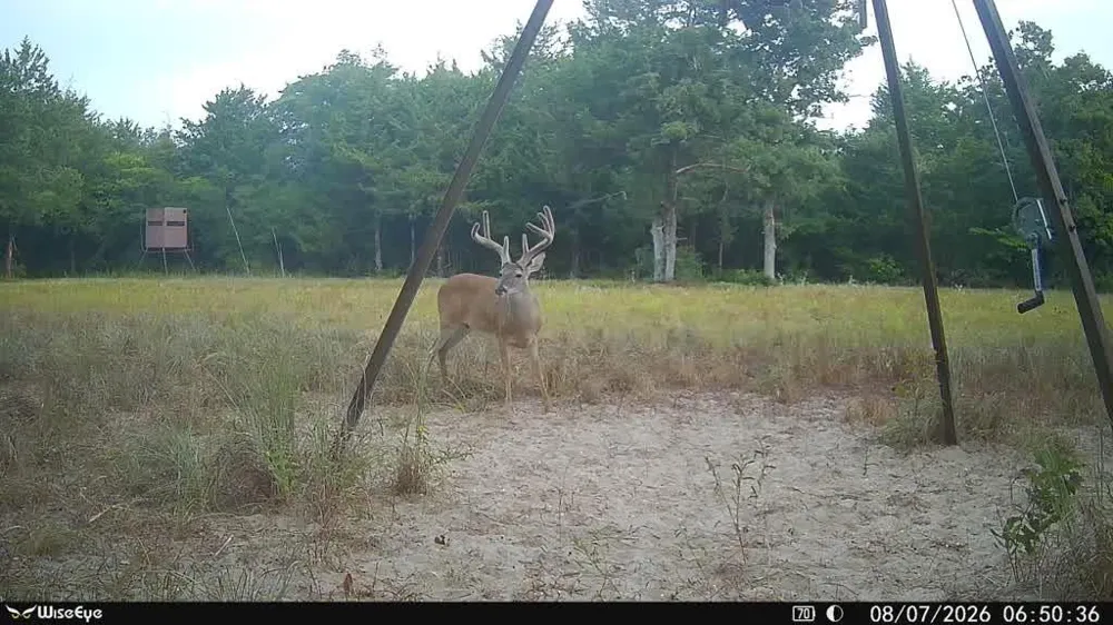 15147 County Road 499 Normangee, TX 77871