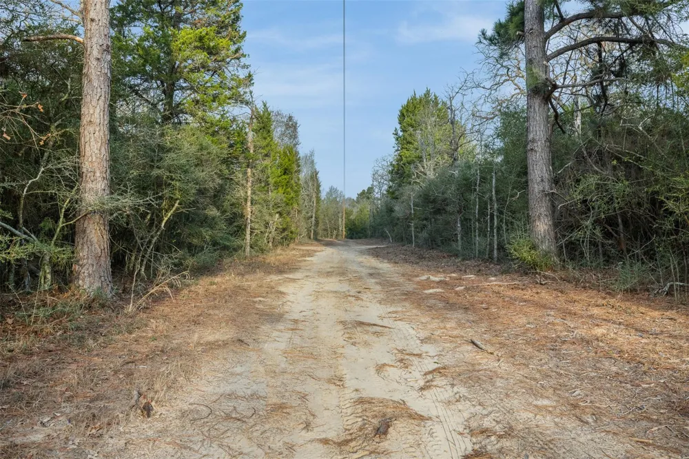 15147 County Road 499 Normangee, TX 77871