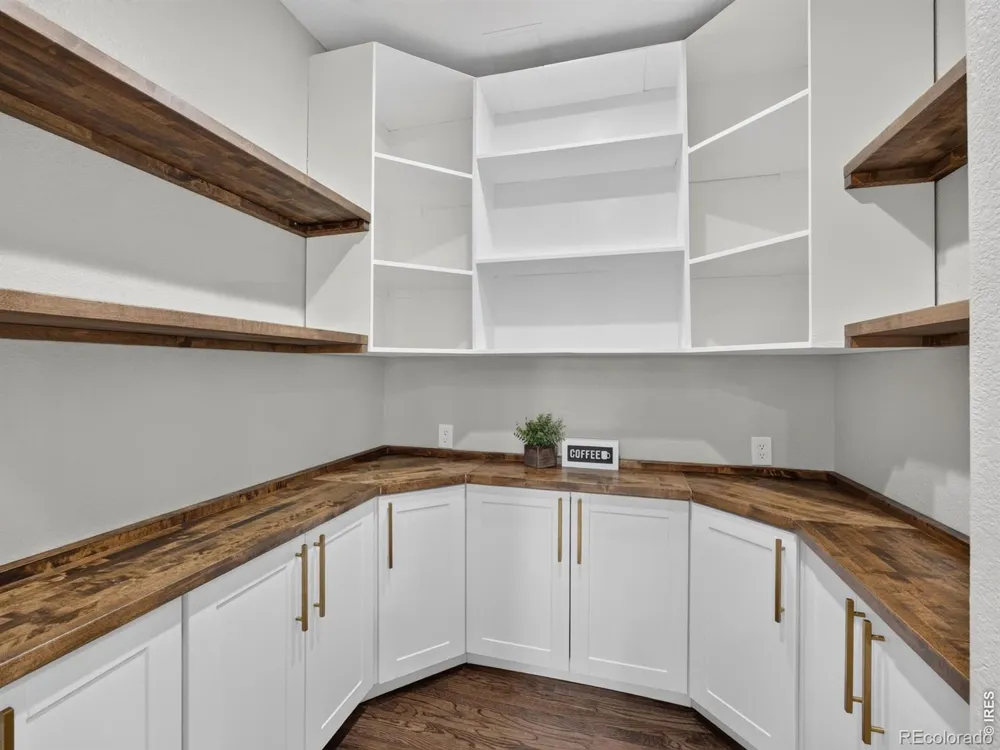 1081 Foursome Drive Castle Rock, CO 80104