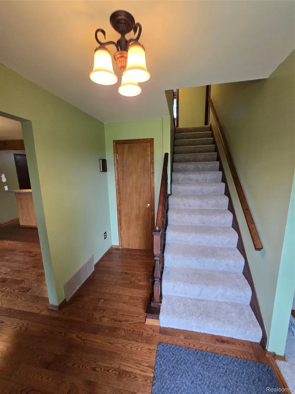 5282 McIntyre Road Clyde Township, MI 48049