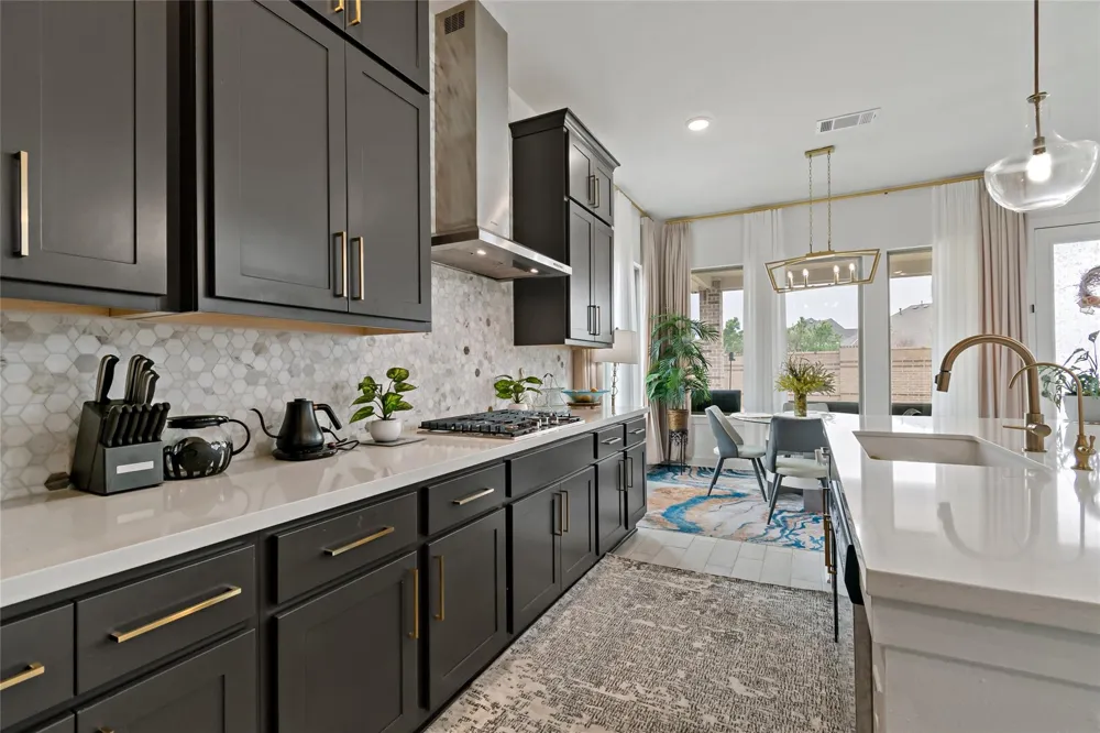 11111 Zinnias Court Cypress, TX 77433
