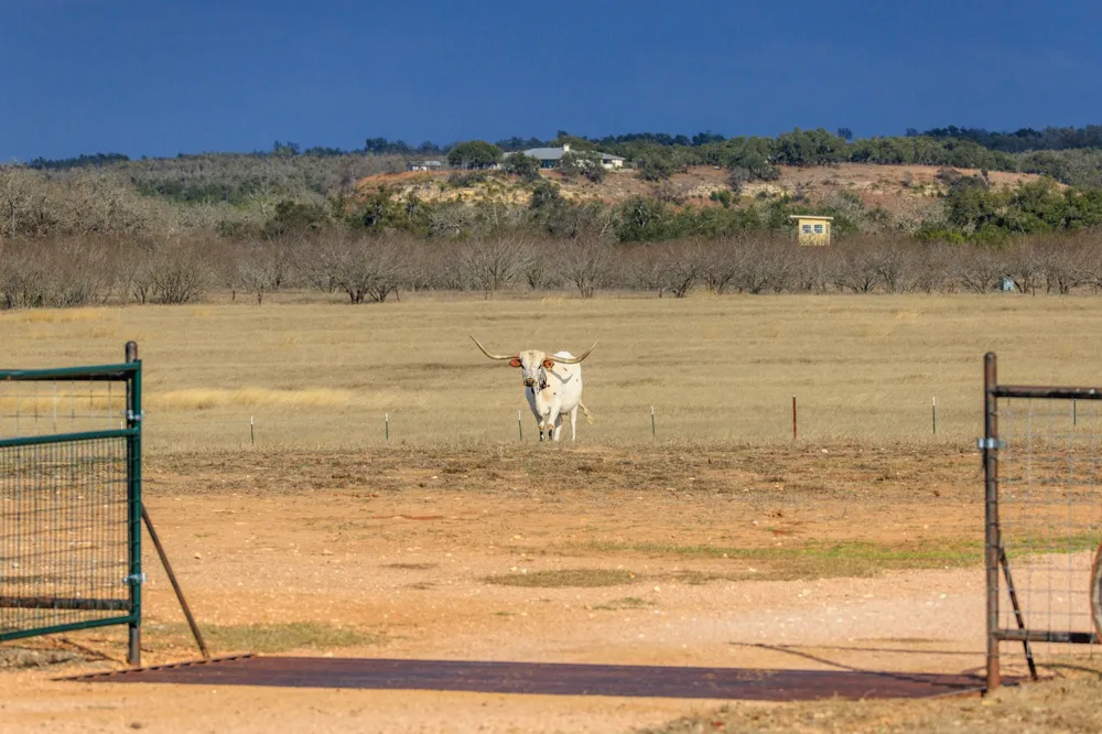 888 Dietrich Road Fredericksburg, TX 78624