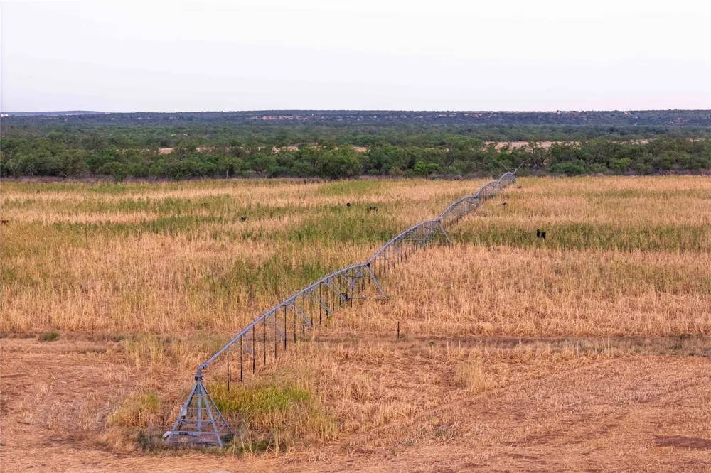 3638 County Road 312 Voss, TX 76888