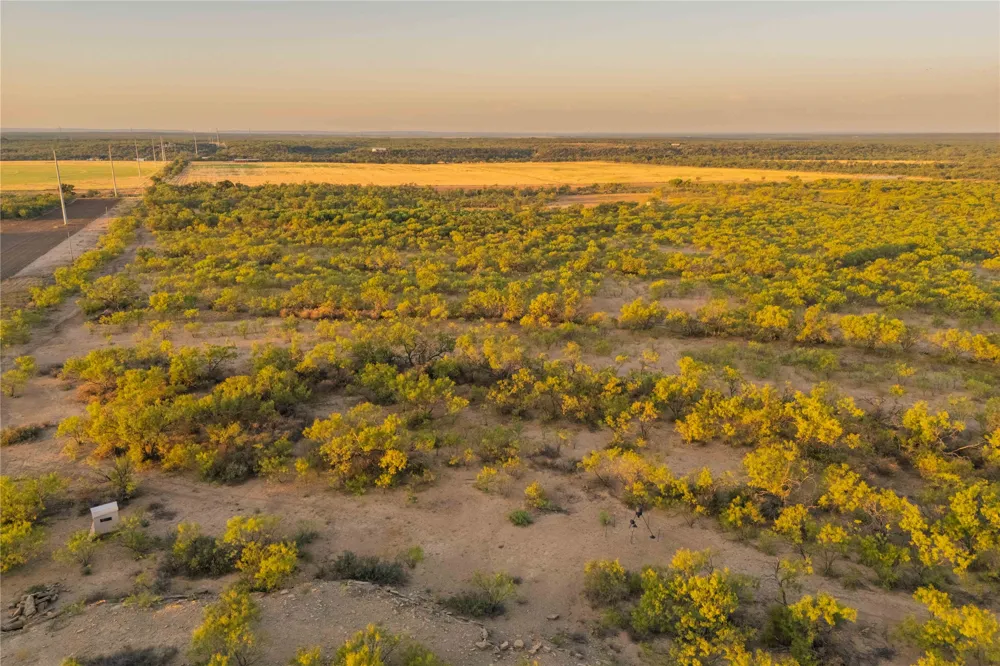 3638 County Road 312 Voss, TX 76888