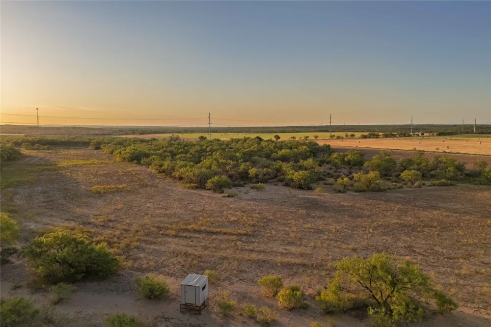 3638 County Road 312 Voss, TX 76888