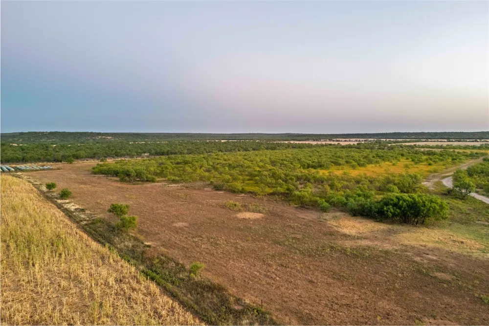 3638 County Road 312 Voss, TX 76888