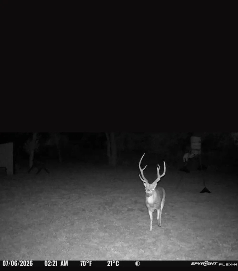 3638 County Road 312 Voss, TX 76888