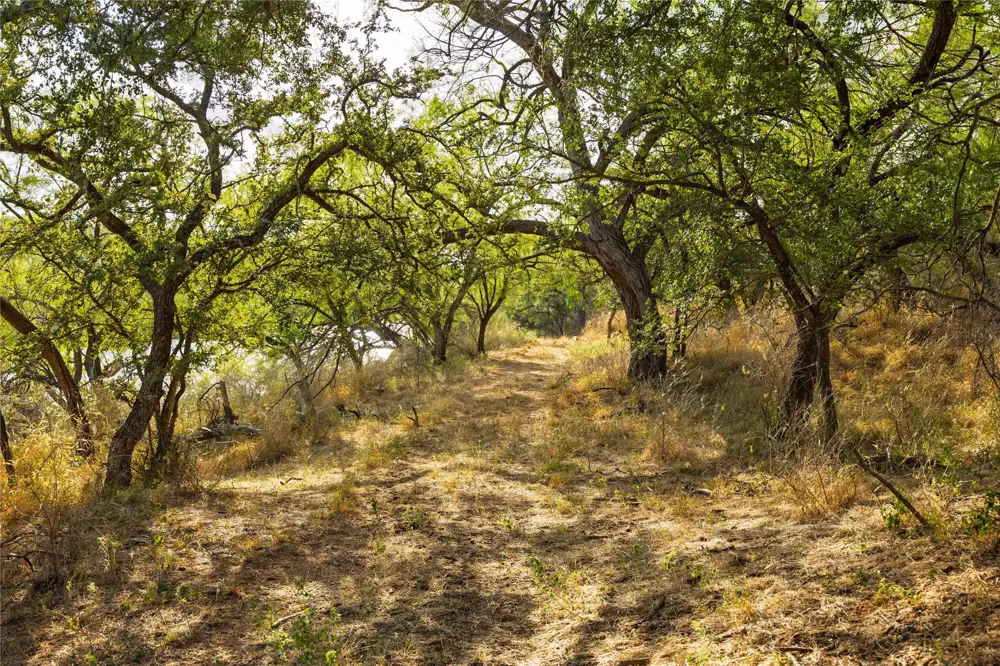 3638 County Road 312 Voss, TX 76888