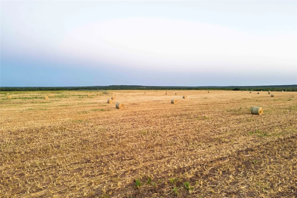 3638 County Road 312 Voss, TX 76888