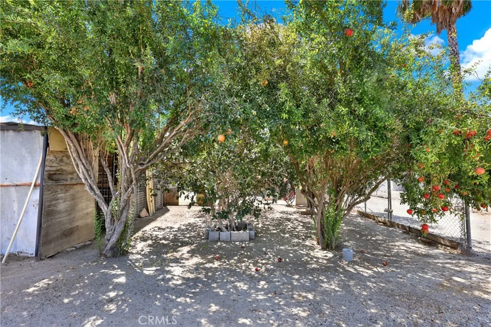 3949 BLUFF Norco, CA 92860