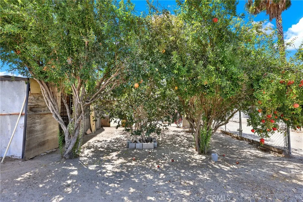 3949 BLUFF Norco, CA 92860