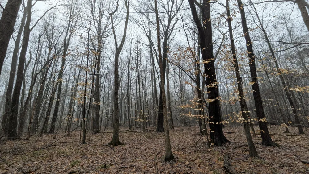 Tuttle Hill Road Willis, MI 48191