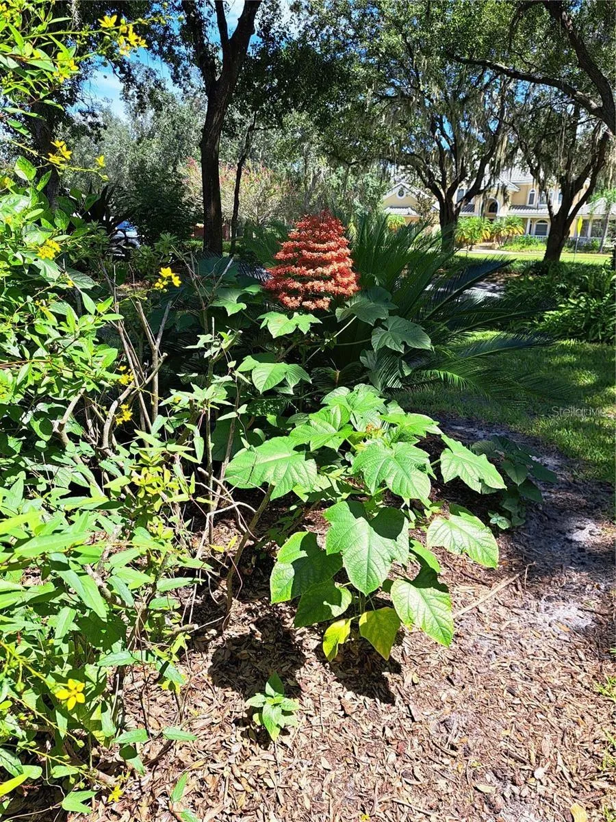 5316 LOCHMEAD TERRACE Zephyrhills, FL 33541