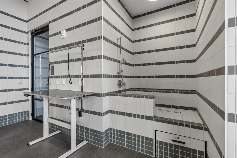610 Davis Street #1909 Austin, TX 78701