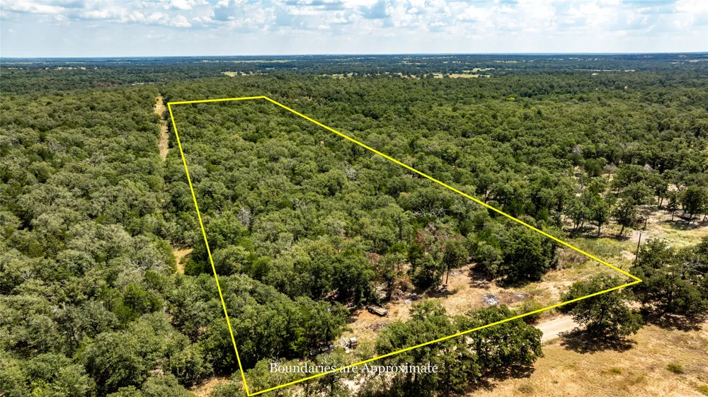 3 Edgewood Trail Road Paige, TX 78659