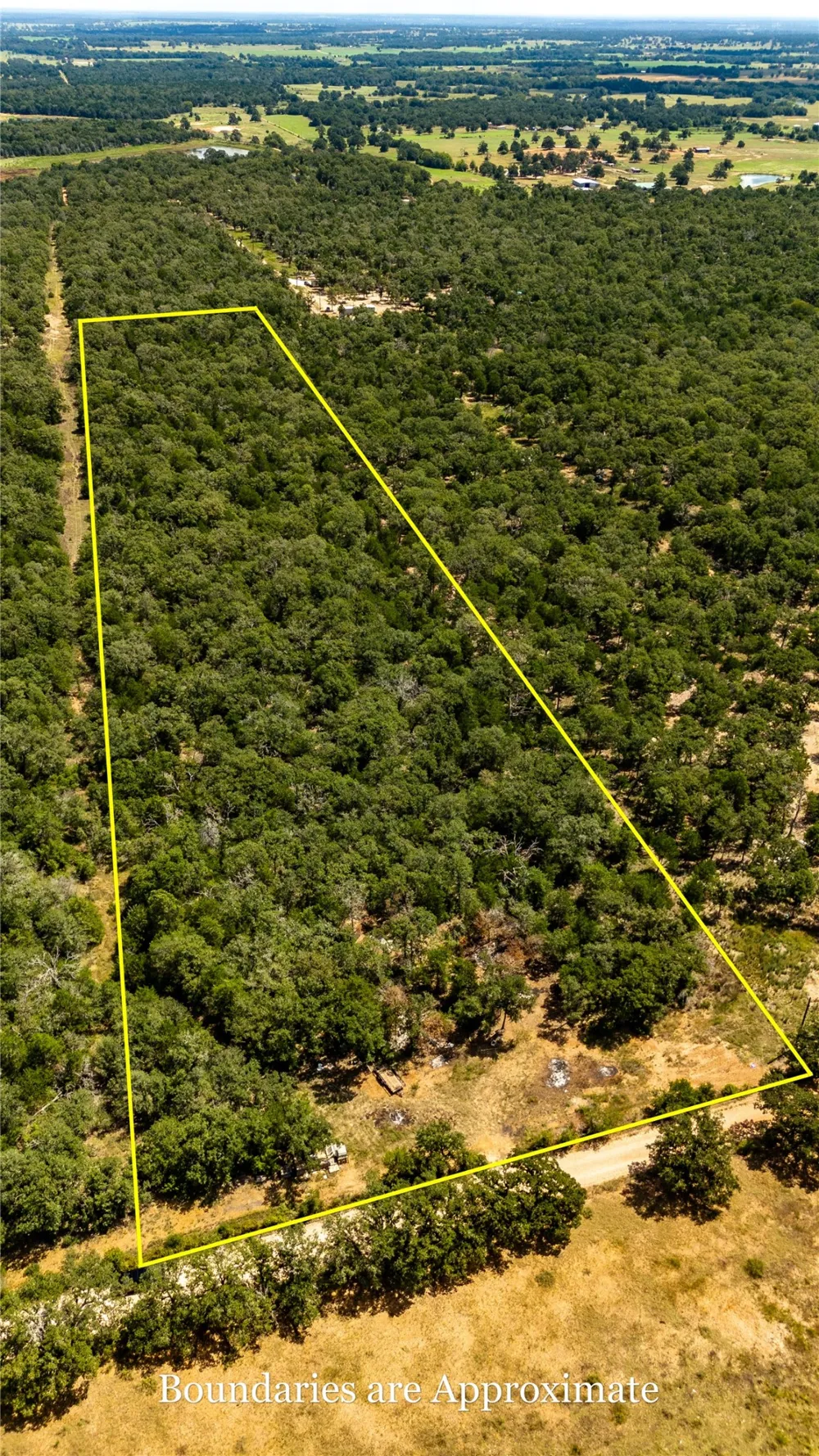 3 Edgewood Trail Road Paige, TX 78659