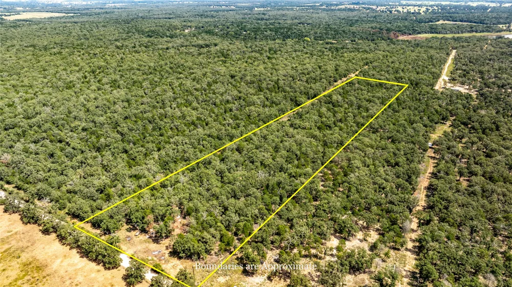 3 Edgewood Trail Road Paige, TX 78659
