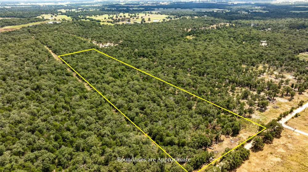3 Edgewood Trail Road Paige, TX 78659