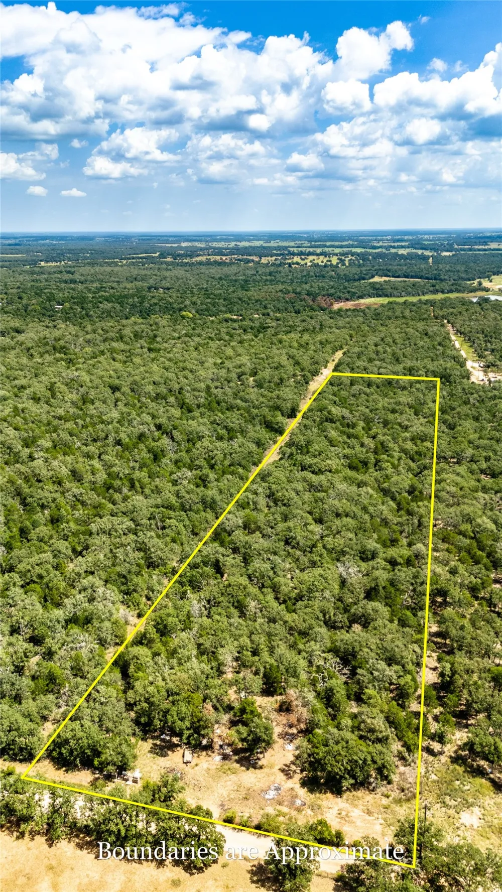 3 Edgewood Trail Road Paige, TX 78659