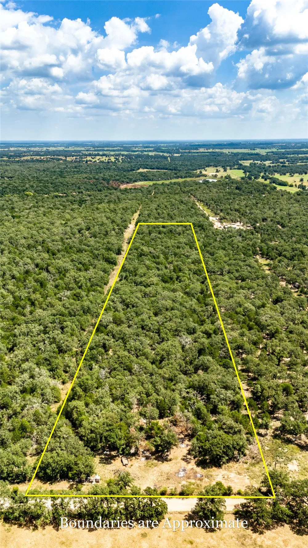 3 Edgewood Trail Road Paige, TX 78659