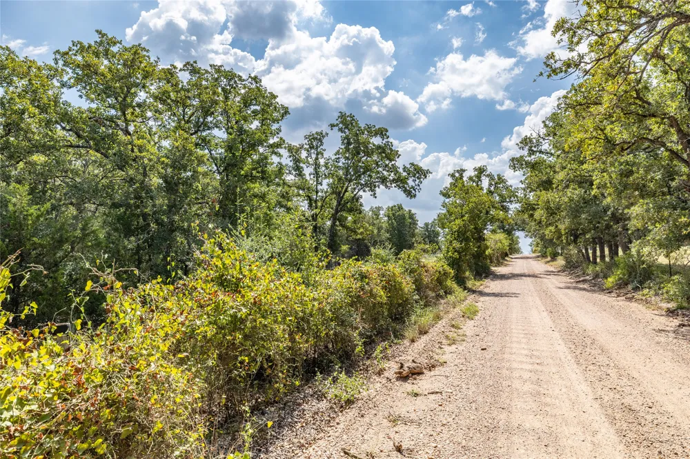 3 Edgewood Trail Road Paige, TX 78659