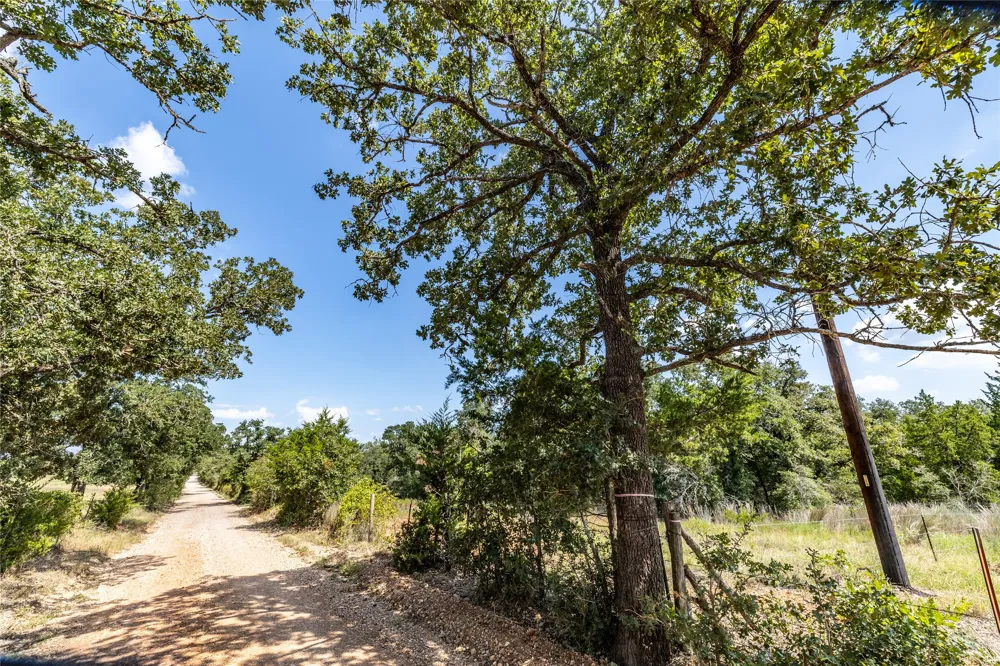 3 Edgewood Trail Road Paige, TX 78659