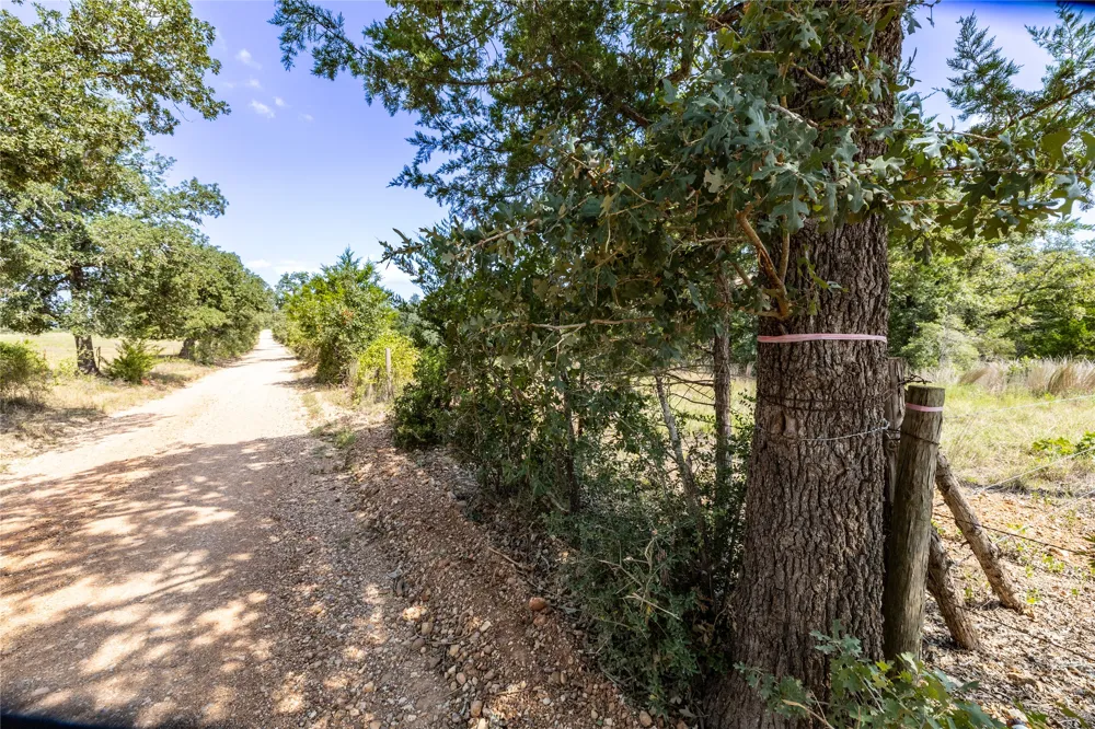 3 Edgewood Trail Road Paige, TX 78659