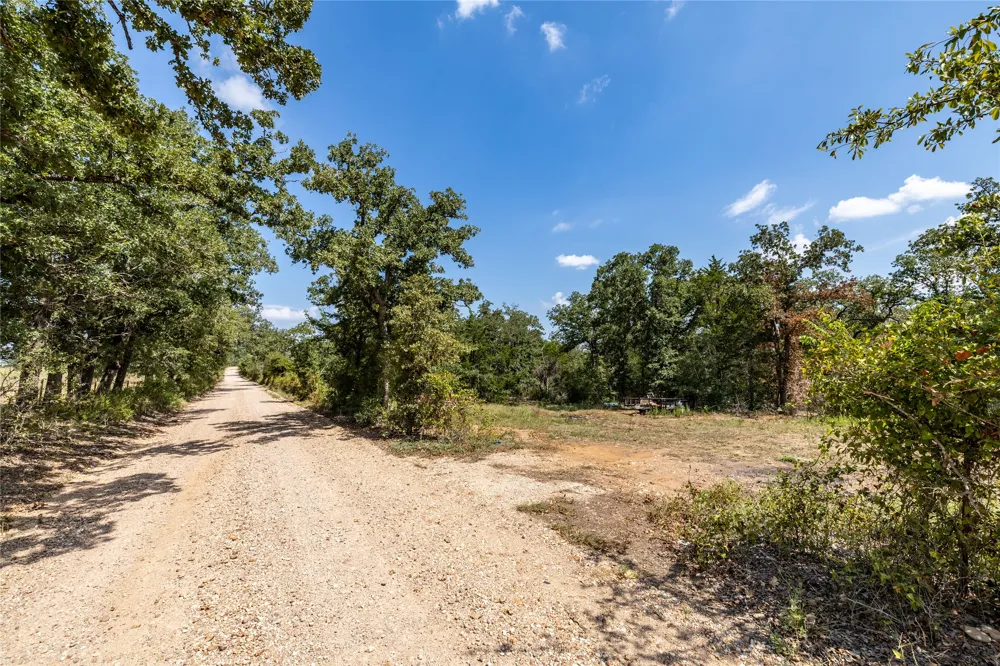 3 Edgewood Trail Road Paige, TX 78659