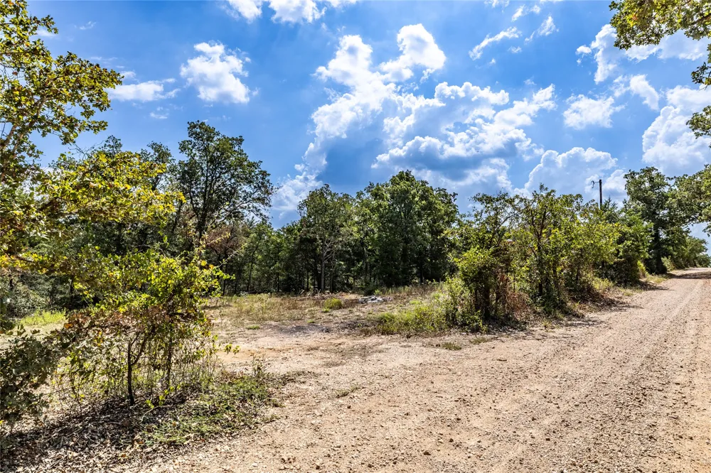 3 Edgewood Trail Road Paige, TX 78659