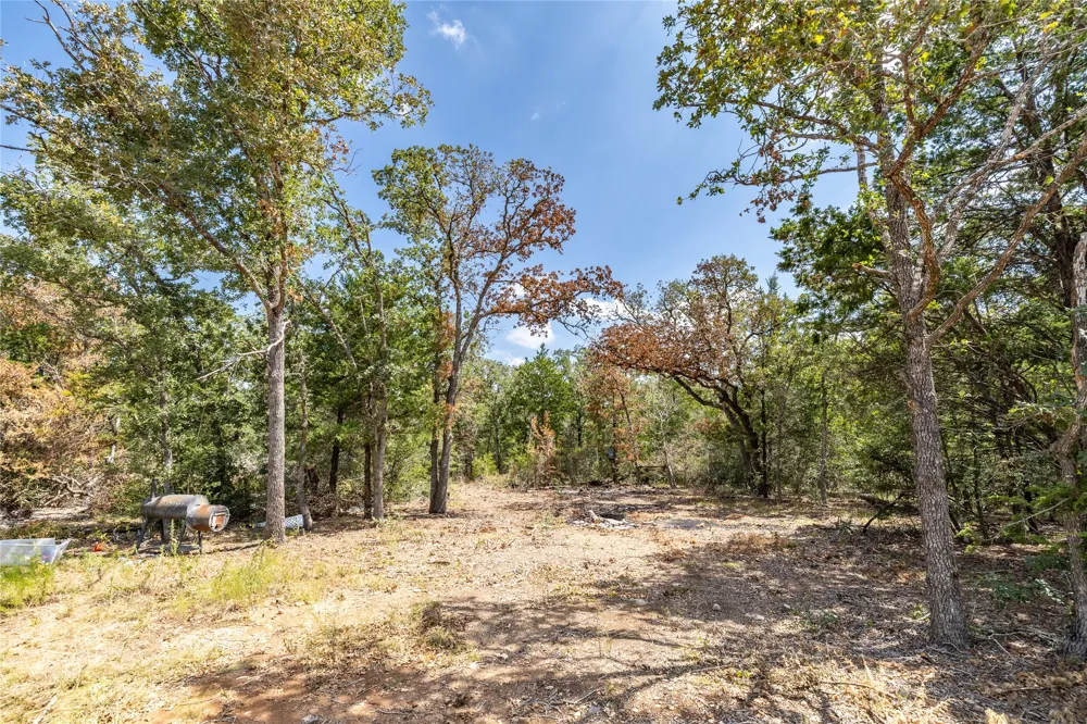 3 Edgewood Trail Road Paige, TX 78659