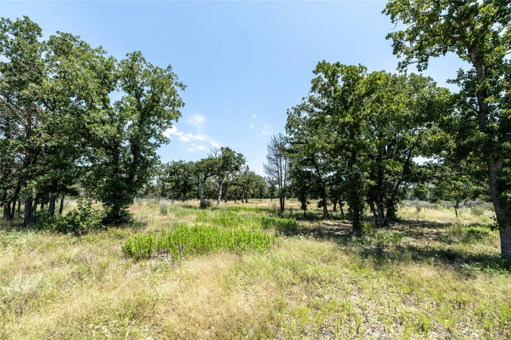3 Edgewood Trail Road Paige, TX 78659