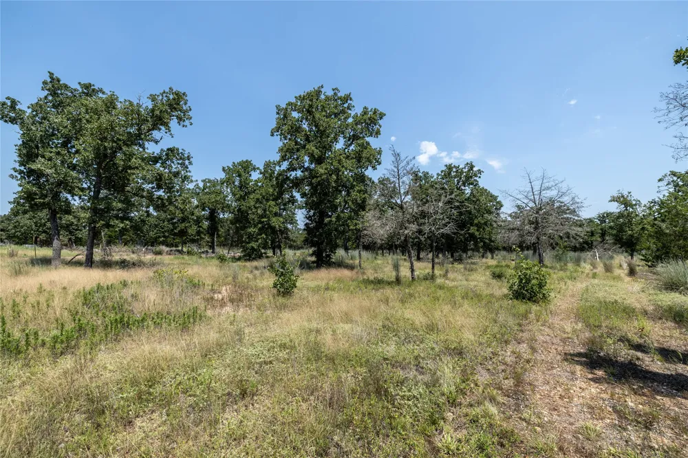 3 Edgewood Trail Road Paige, TX 78659