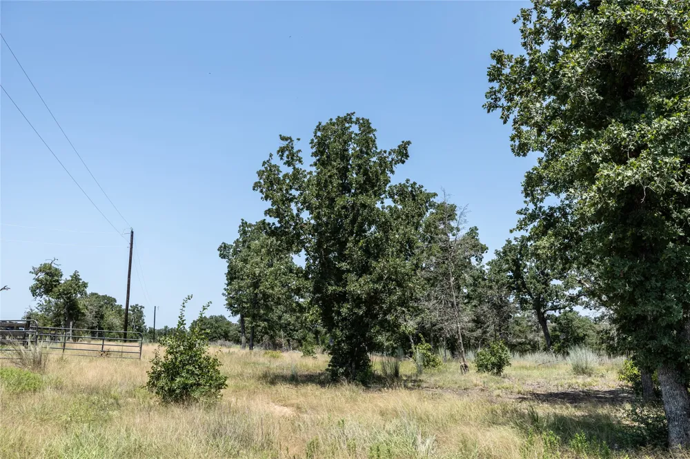 3 Edgewood Trail Road Paige, TX 78659