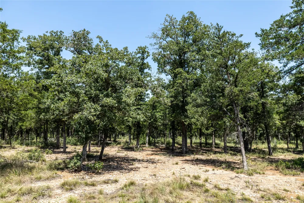 3 Edgewood Trail Road Paige, TX 78659
