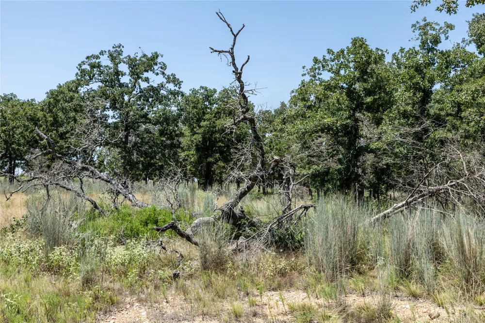 3 Edgewood Trail Road Paige, TX 78659