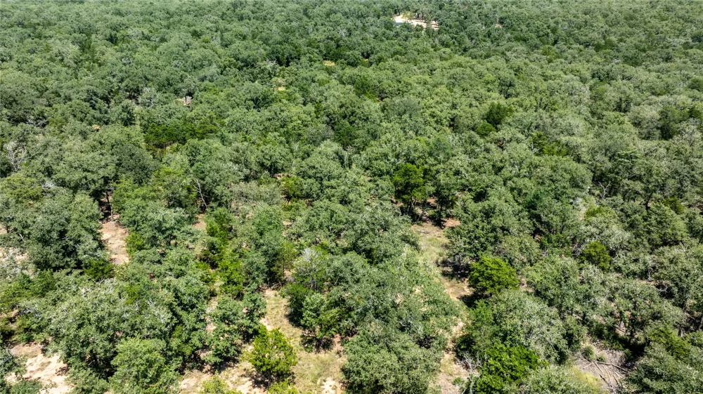 3 Edgewood Trail Road Paige, TX 78659