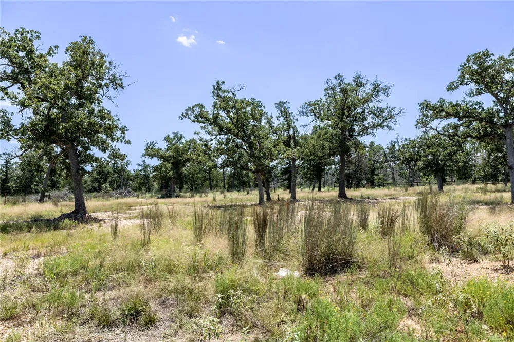 3 Edgewood Trail Road Paige, TX 78659