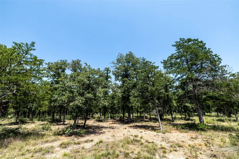 3 Edgewood Trail Road Paige, TX 78659