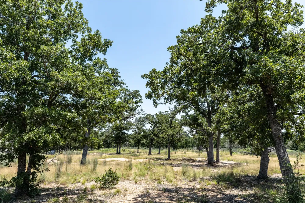 3 Edgewood Trail Road Paige, TX 78659