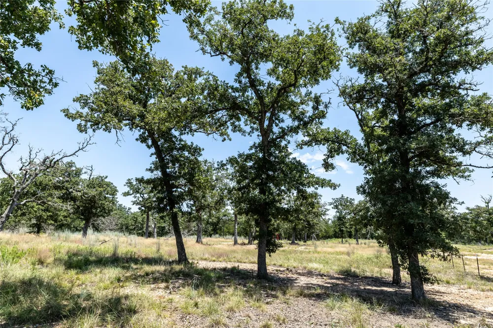 3 Edgewood Trail Road Paige, TX 78659