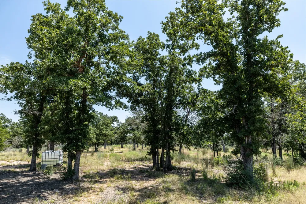 3 Edgewood Trail Road Paige, TX 78659