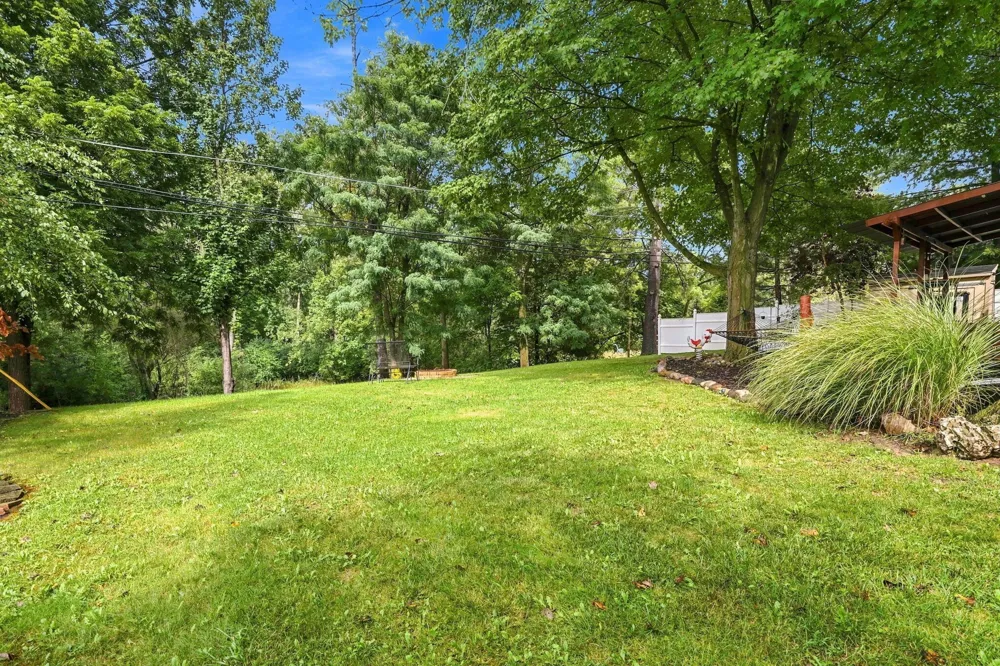 29164 Terrence Street Livonia City, MI 48154