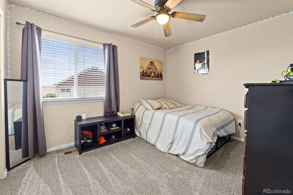 1218 Muskox Street Severance, CO 80550