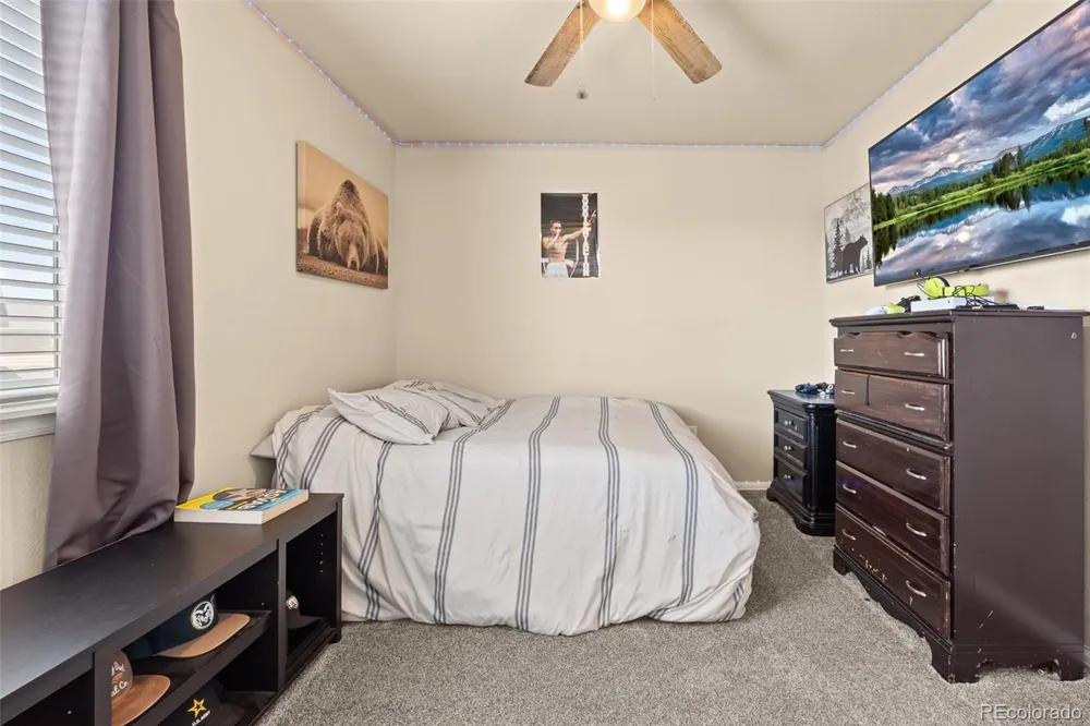 1218 Muskox Street Severance, CO 80550