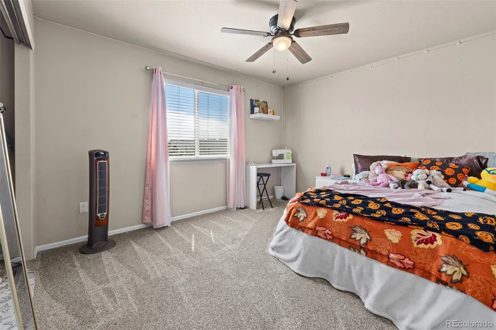 1218 Muskox Street Severance, CO 80550