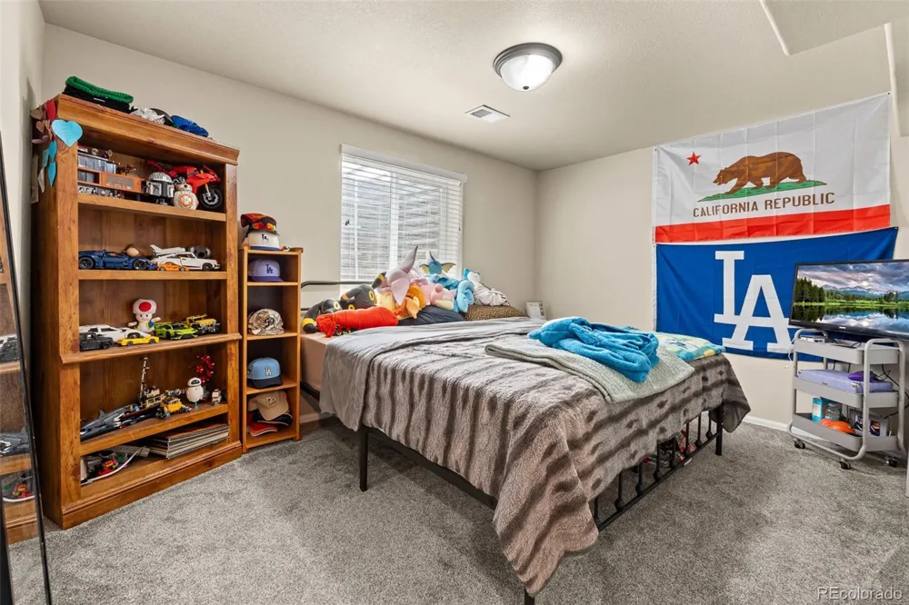 1218 Muskox Street Severance, CO 80550